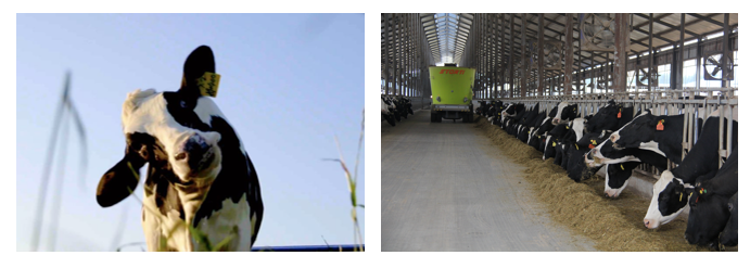 安博(中国)丨每天一杯奶，幸福健康喝出来！！！