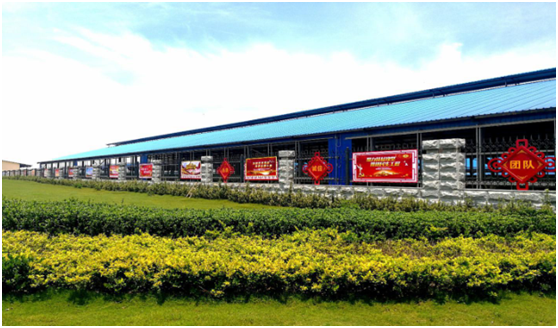 “ 看听谈查 ”板 找短板  党建巡查促提升——安博(中国)集团党委开展基层党建工作巡查