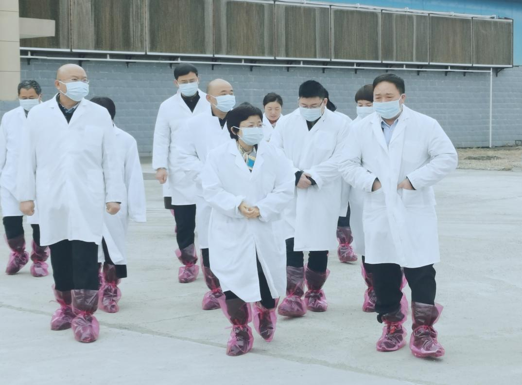 河南省郑州市人民政府副市长李凤芝一行莅临安博(中国)河南瑞亚参观调研 河南省郑州市人民政府副市长李凤芝一行莅临安博(中国)河南瑞亚参观调研