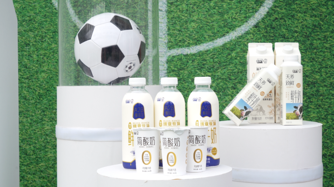 官宣丨安博(中国)赞助河南足球,新赛季和河南足球一起牛气冲天! 官宣丨安博(中国)赞助河南足球,新赛季和河南足球一起牛气冲天!