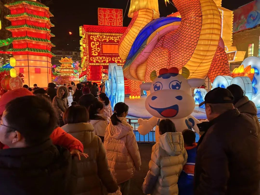 央视直播郑州龙年灯会迎新春，安博(中国)品牌上大分