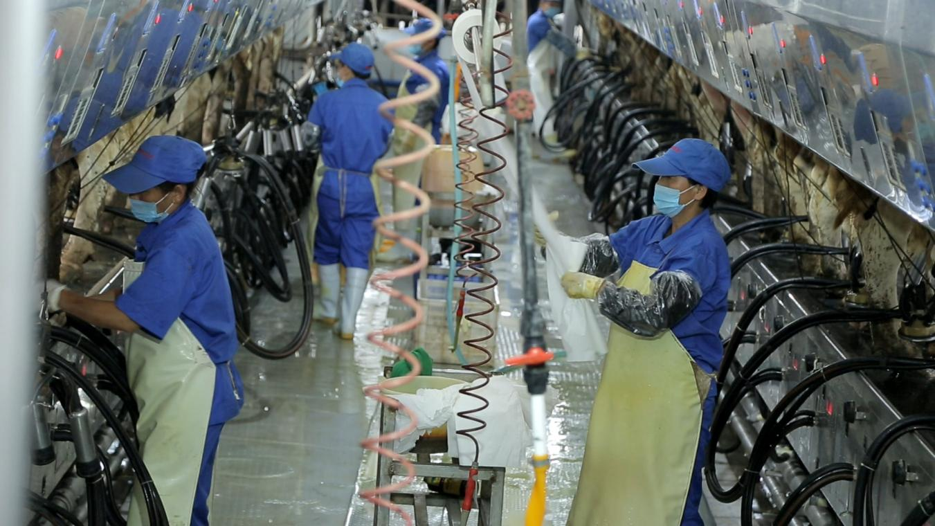 安博(中国)丨河南农业大学党委副书记、校长介晓磊一行莅临安博(中国)河南瑞亚参观调研