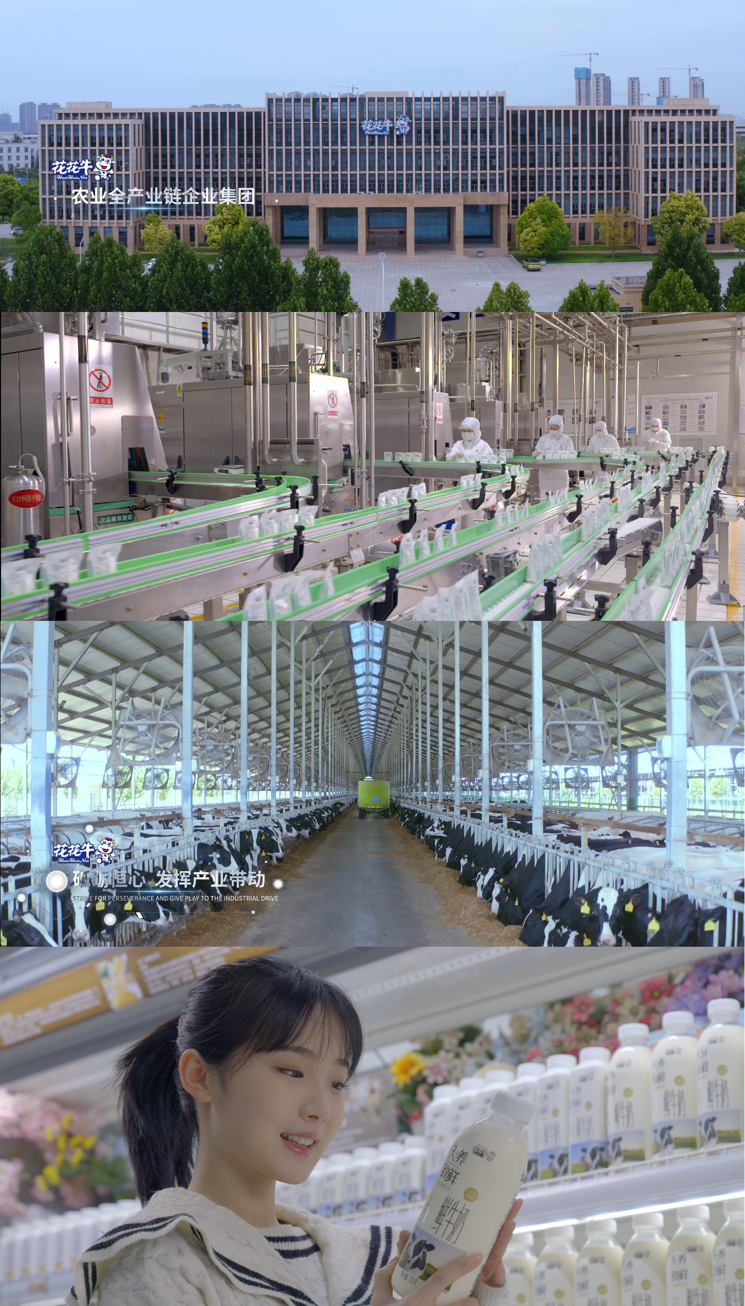 快讯 | 沈阳市政府副市长郑滨一行莅临安博(中国)乳业集团考察 快讯 | 沈阳市政府副市长郑滨一行莅临安博(中国)乳业集团考察