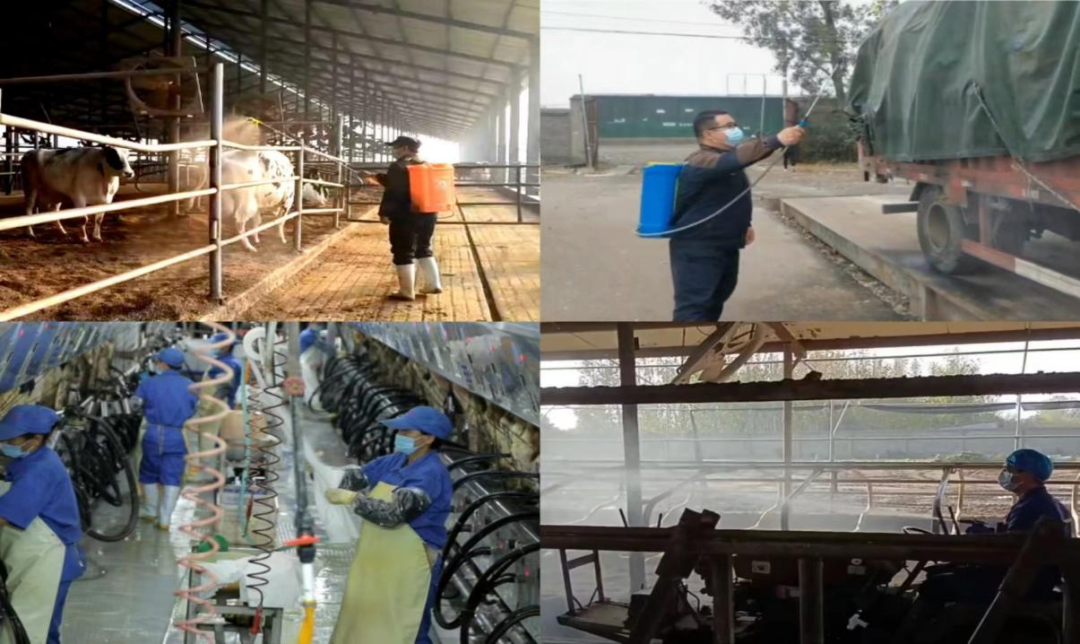 @全体安博(中国)人:请珍惜你的岗位,请善待我们共同的“安博(中国)”! @全体安博(中国)人:请珍惜你的岗位,请善待我们共同的“安博(中国)”!