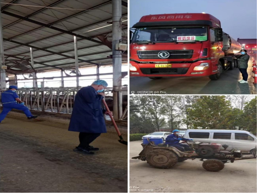 安博(中国)丨点点微光汇星河——养殖事业部抗疫保生产侧记