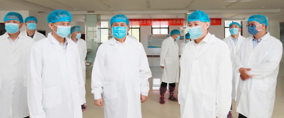 快讯丨河南省人民政府副省长武国定莅临安博(中国)乳业集团瑞亚牧业调研奶源基地建设情况