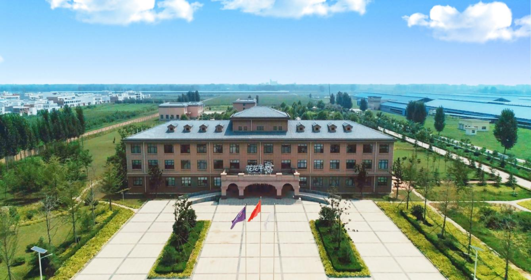 快讯丨河南省人民政府副省长武国定莅临安博(中国)乳业集团瑞亚牧业调研奶源基地建设情况