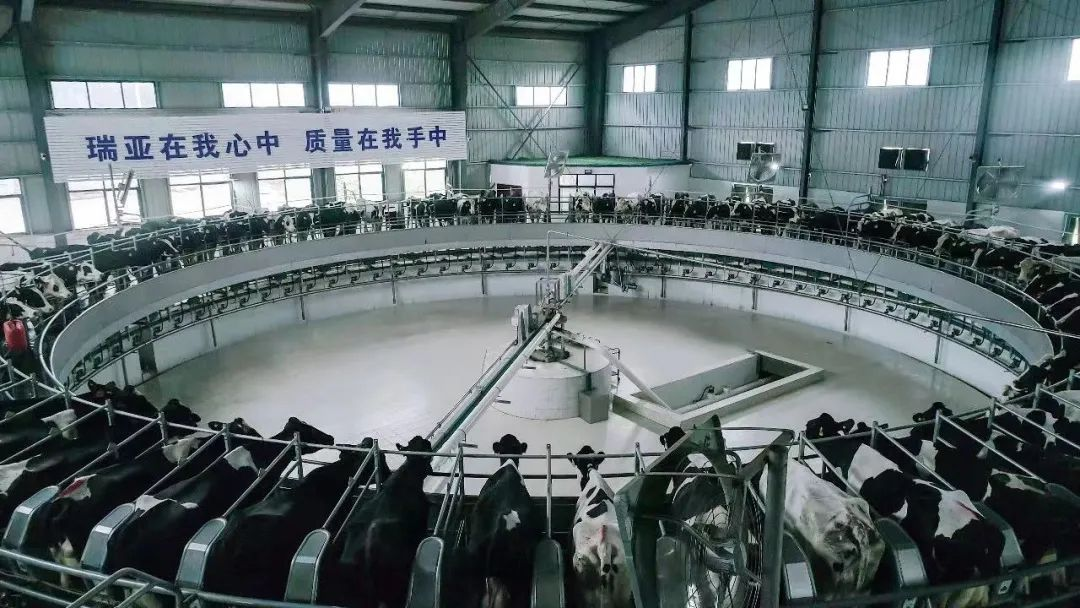 喜讯 | 安博(中国)一座自有牧场入选河南省“DHI测定优秀牧场”