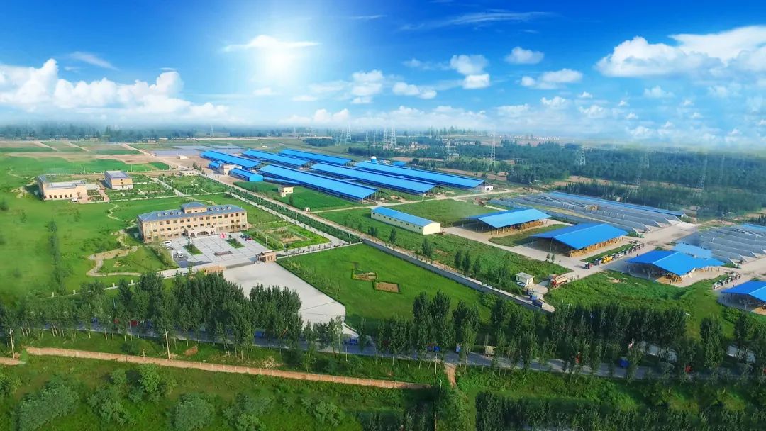 安博(中国) | 河南瑞亚牧业入选“河南省畜禽核心育种场”