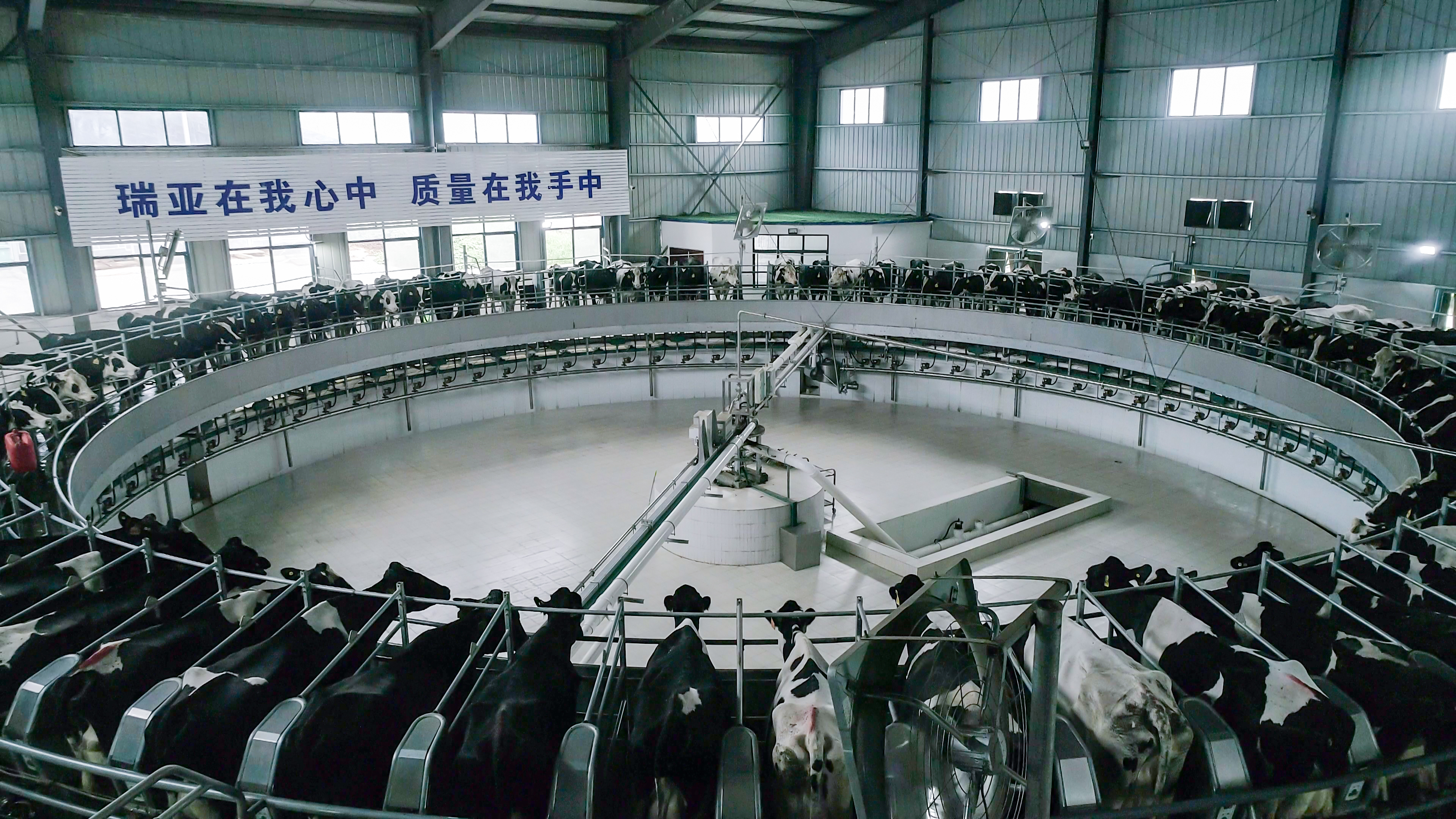 安博(中国)两座自有牧场入选 河南省农业农村厅2021年度畜禽养殖标准化示范场