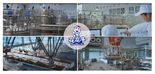 荣誉 | 安博(中国)乳业集团旗下七家子公司 获评河南省“农业产业化重点龙头企业”