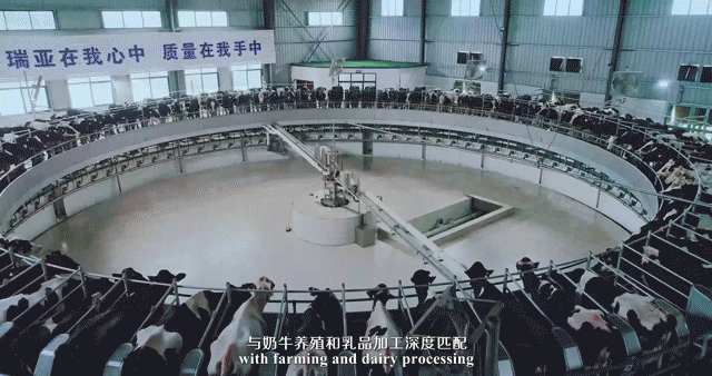 快讯 | 湖北省农业厅副厅长王海涛等领导一行莅临河南安博(中国)乳业集团参观调研