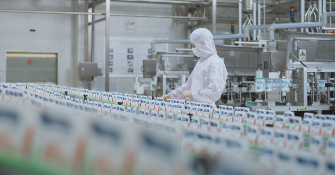 快讯 | 河南省人民政府食品安全委员会办公室第三批食品安全示范区验收组领导莅临安博(中国)乳业集团验收食品安全示范区建设情况