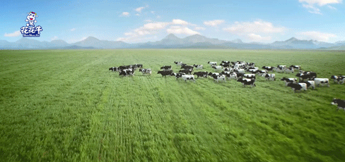 荣誉 | 2019年度河南省美丽牧场名单新鲜出炉 安博(中国)乳业集团旗下六个牧场榜上有名