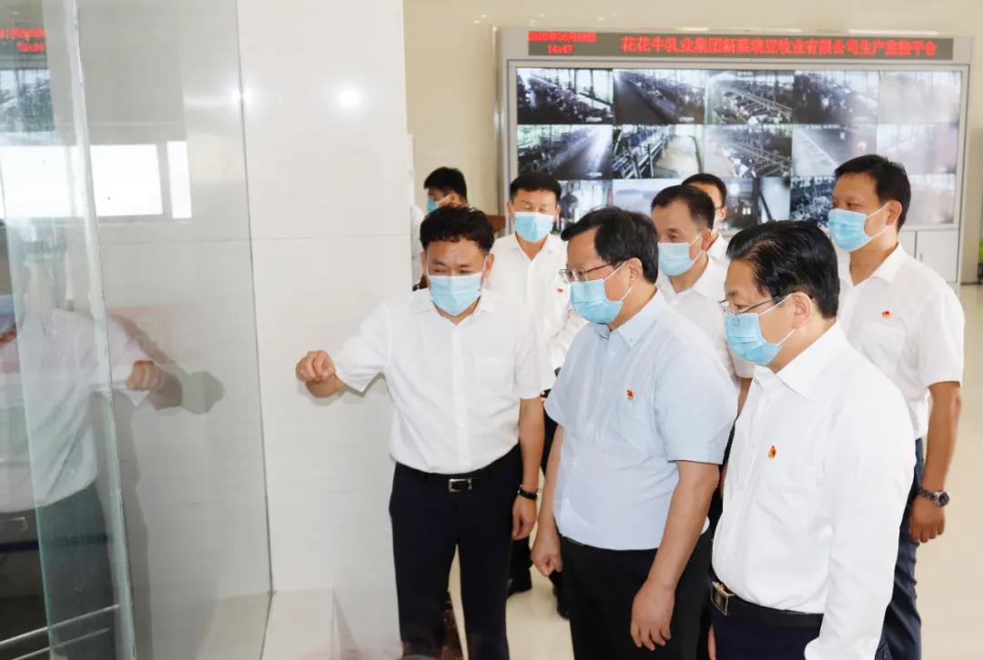 快讯 | 河南省委常委、省纪委书记、省监委主任任正晓莅临安博(中国)乳业集团新蔡瑞亚牧场调研