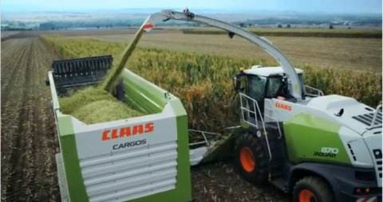 安博手机网页版登录入口 2020年玉米青贮采购信息 安博手机网页版登录入口 2020年玉米青贮采购信息