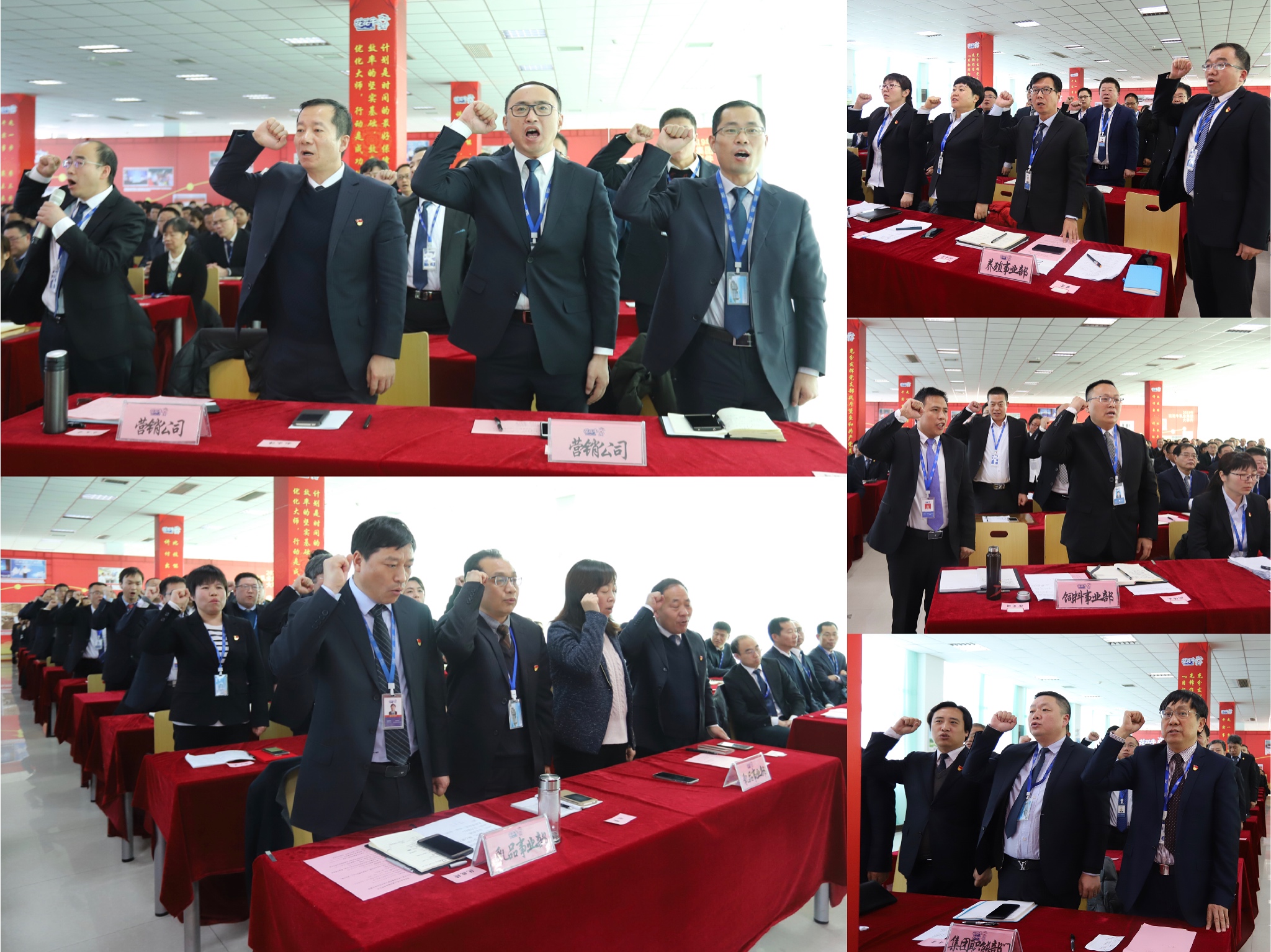 “团结、实干、高效、逐梦” 安博(中国)乳业集团2019年度工作总结暨表彰大会胜利召开