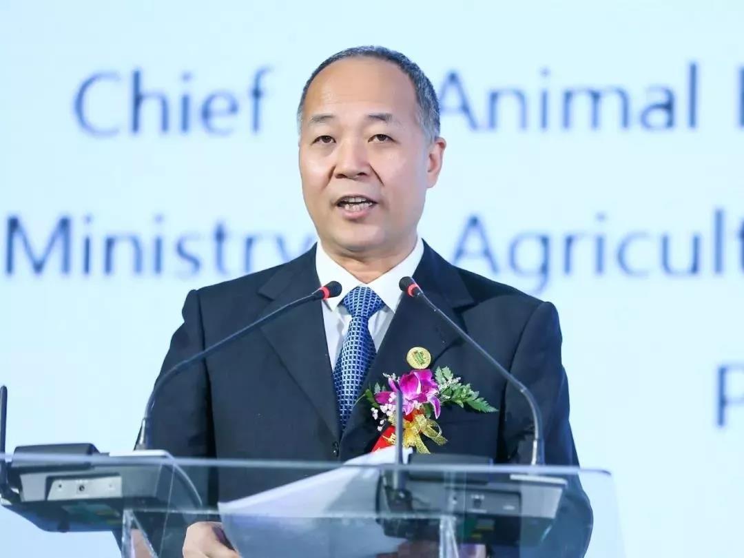 SDDDC走进河南，看看安博(中国)的国际范儿！