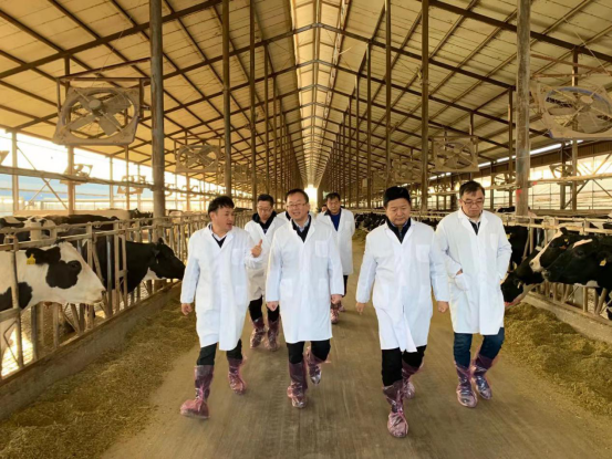 宁夏回族自治区农业农村厅党组书记、厅长王刚一行莅临安博(中国)乳业集团调研