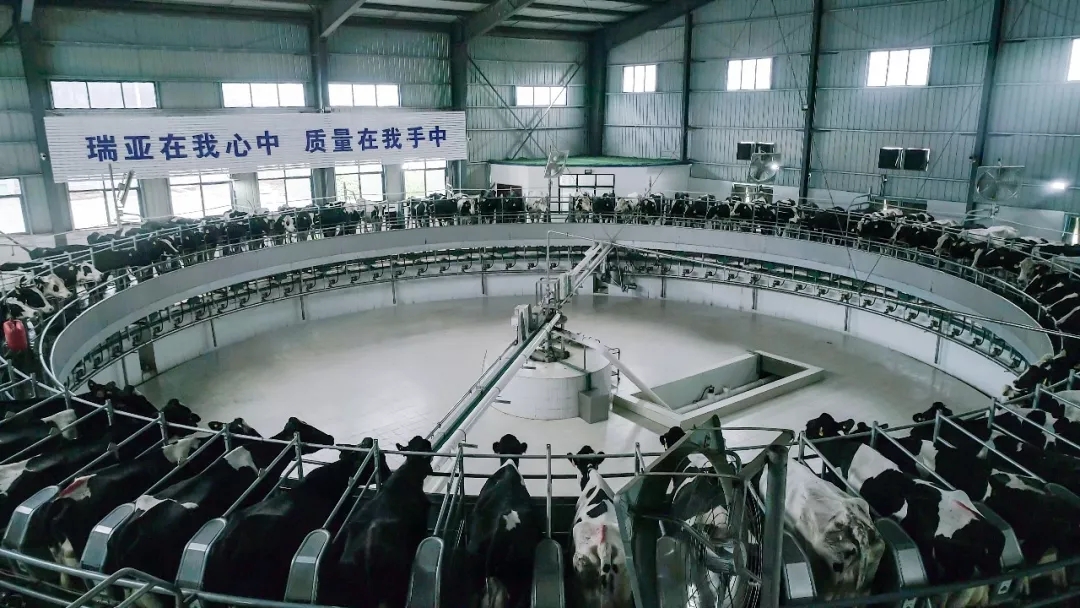 省委书记王国生到河南安博(中国)乳业集团·新蔡瑞亚牧业有限公司调研