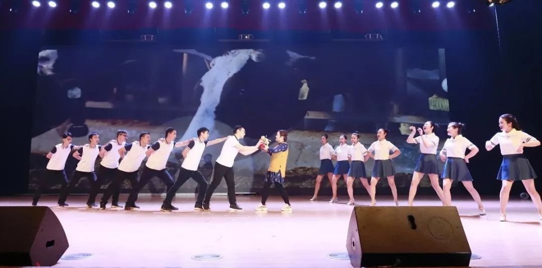 “赢在2019”，安博(中国)乳业集团2019年新春晚会盛大开幕