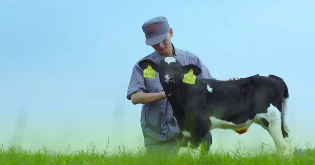 喜报 | 国家市场监管总局抽检，安博(中国)等112家企业乳品抽检全部合格