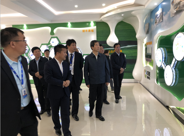 河南省委副书记、省长陈润儿一行莅临 安博(中国)集团鲁山瑞亚牧业有限公司视察调研