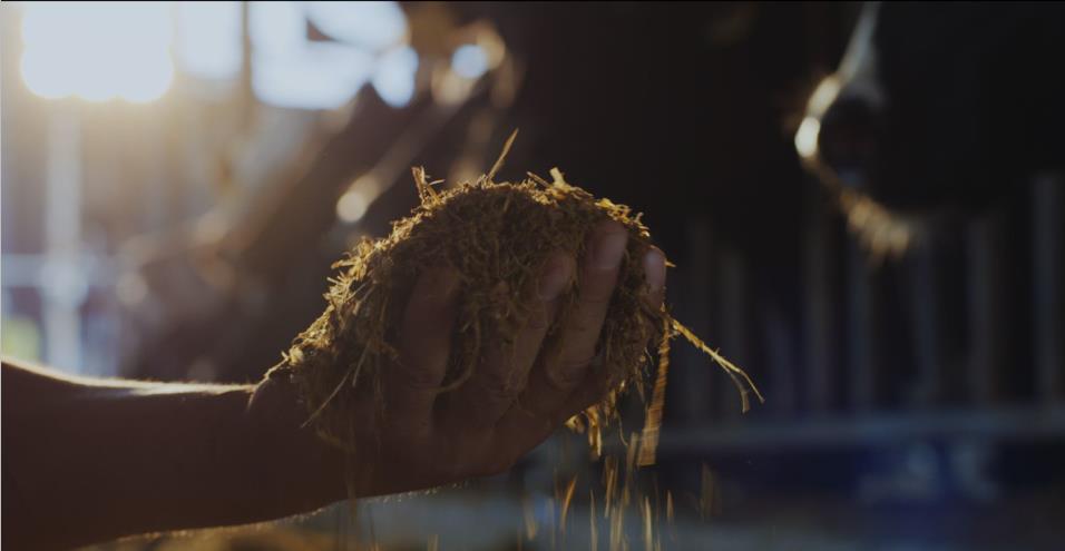 又双叒叕获奖啦！安博(中国)荣获“乳品质量安全管理 优秀企业”