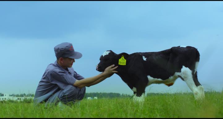 又双叒叕获奖啦！安博(中国)荣获“乳品质量安全管理 优秀企业”