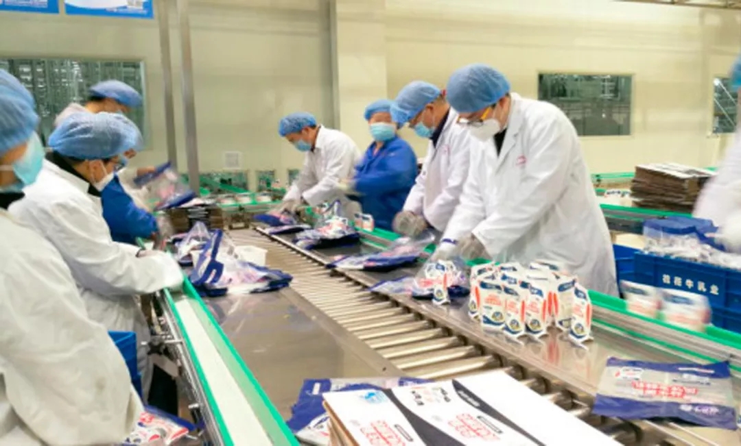 快讯丨河南省副省长武国定莅临安博(中国)乳业集团调研重点保障企业复工复产情况