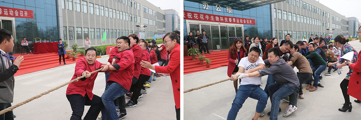 河南安博(中国)生物科技有限公司举办2016年春季运动会