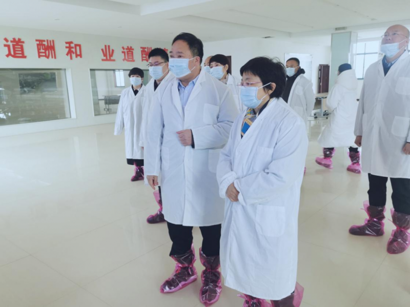 河南省郑州市人民政府副市长李凤芝一行莅临安博(中国)河南瑞亚参观调研