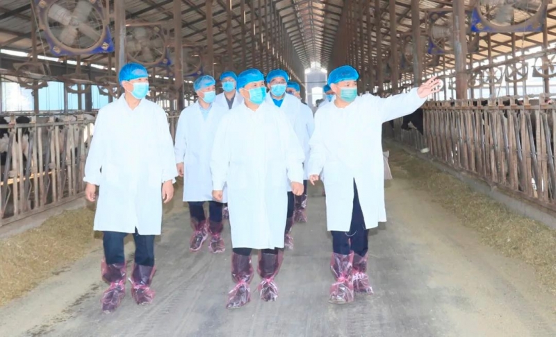 快讯丨河南省人民政府副省长武国定莅临安博(中国)乳业集团瑞亚牧业调研奶源基地建设情况