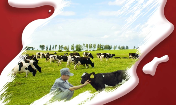 喜报！安博(中国)董事长关晓彦再获”优 秀企业家”称号